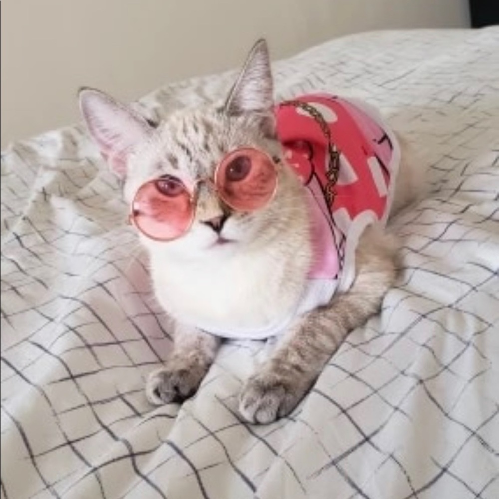 2 pair for $15 Kitty sunglasses - Picture 2 of 16